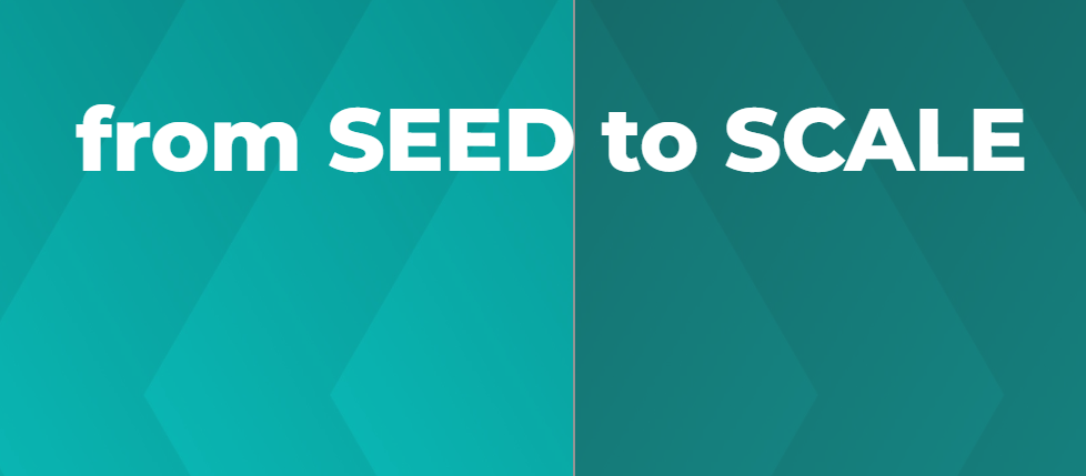 Progetto Seed2Scale: l’innovazione sociale del #PNMetroPlus protagonista del workshop